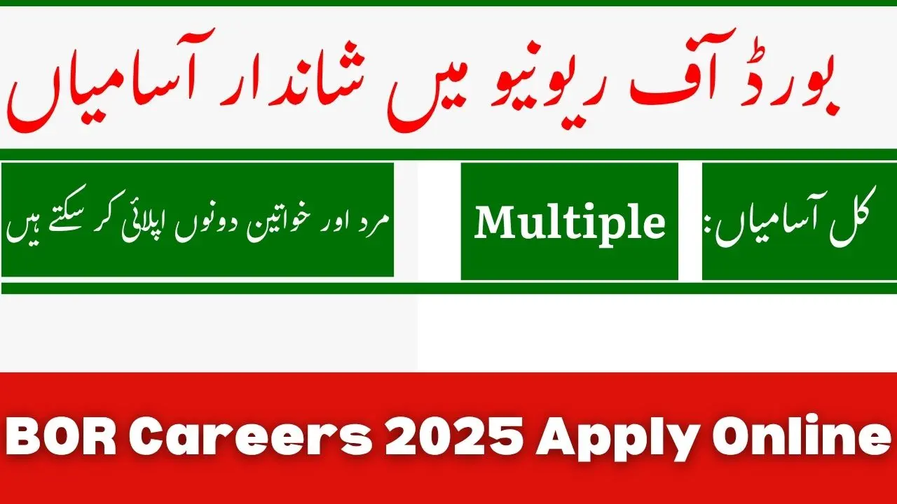 BOR Careers