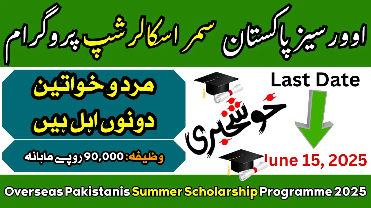 Overseas Pakistanis Summer Scholarship Programme 2025