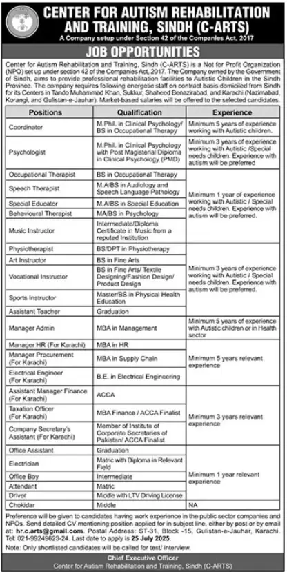 C ARTS Sindh Jobs 2025 Advertisement