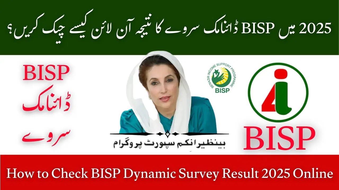 How to Check BISP Dynamic Survey Result 2025 Online