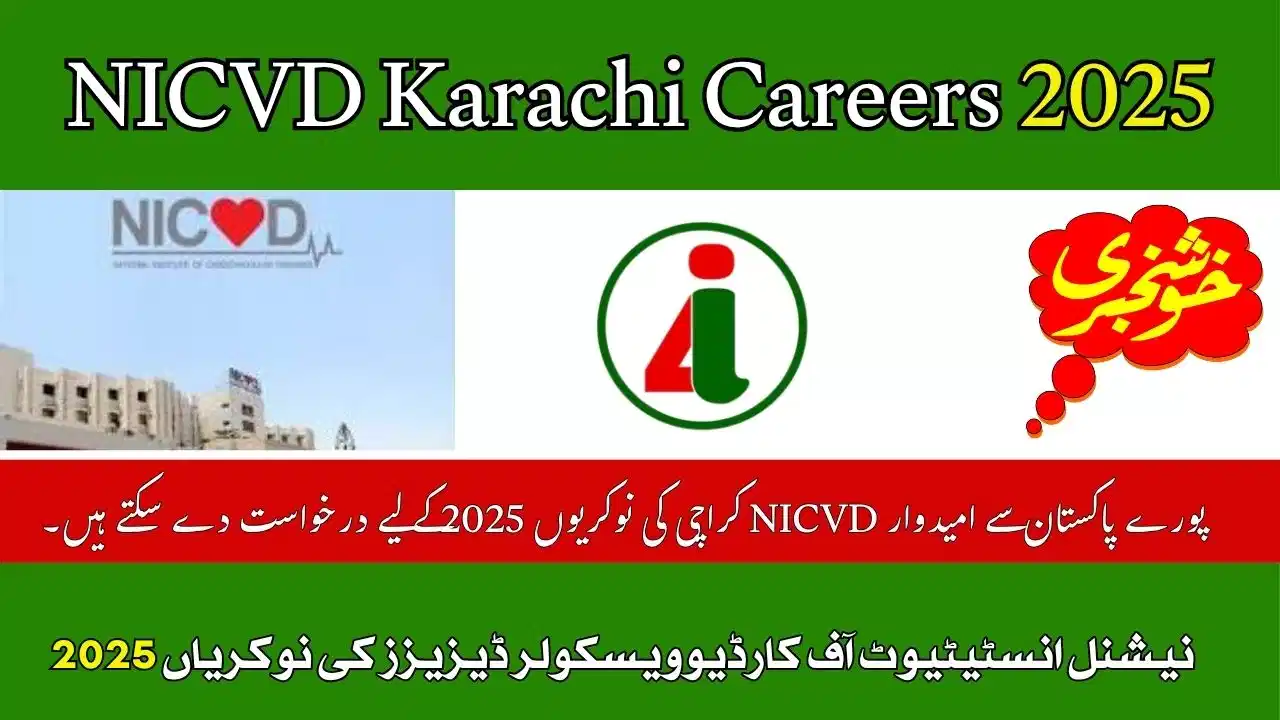 NICVD Karachi Careers 2025