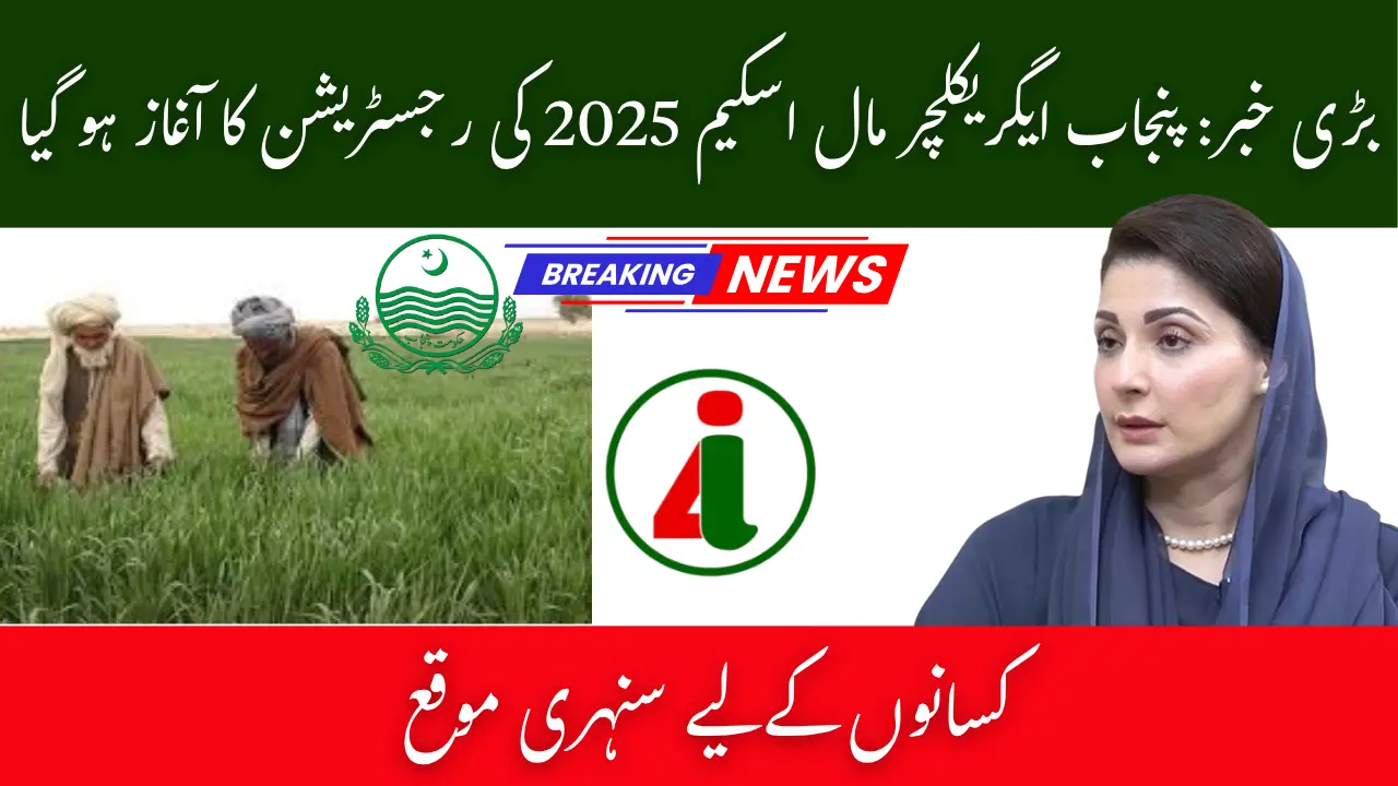 Punjab Agri Mall Scheme 2025 Registration