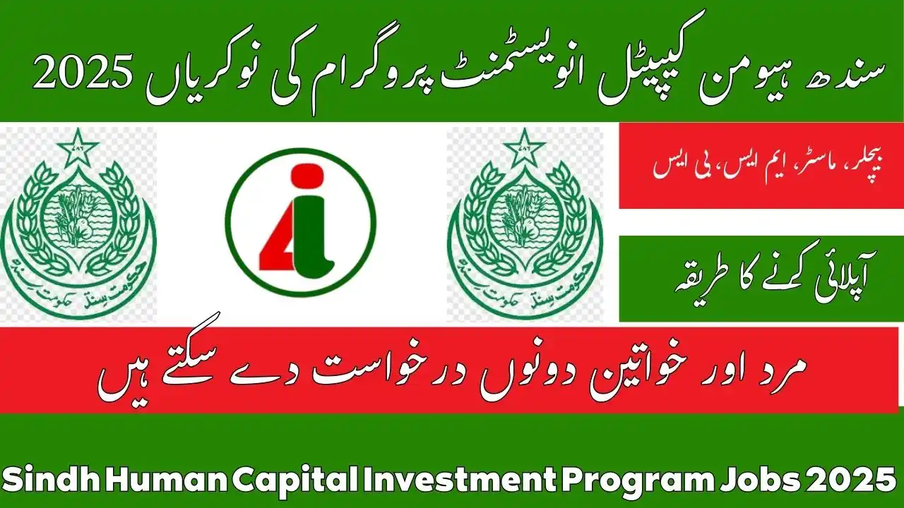 Sindh Human Capital Investment Program Jobs 2025