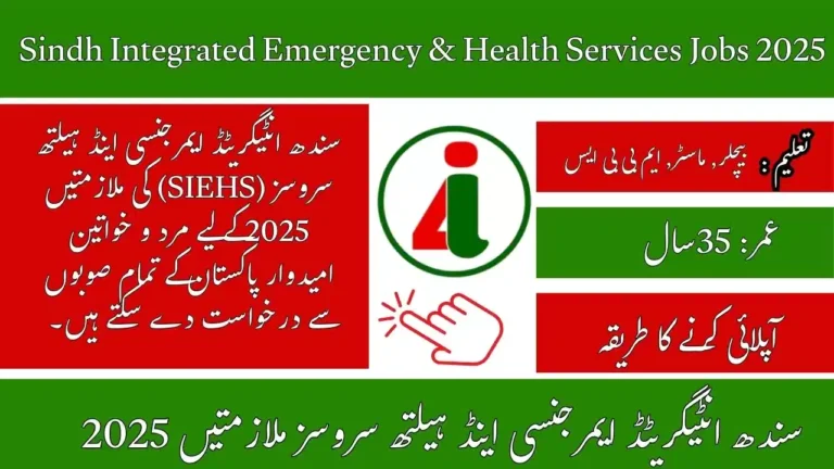 www.siehs.org Jobs 2025 Online Apply For SIEHS Sindh Govt Career Opportunities