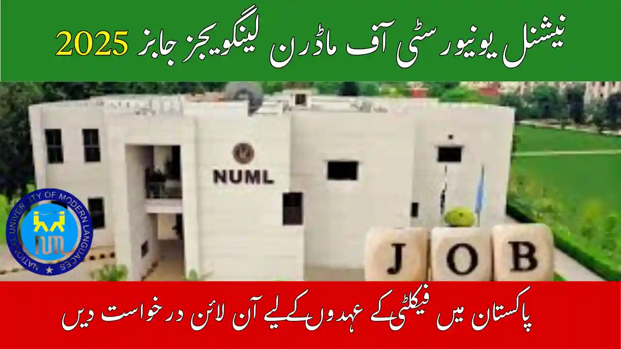 NUML Hyderabad Jobs