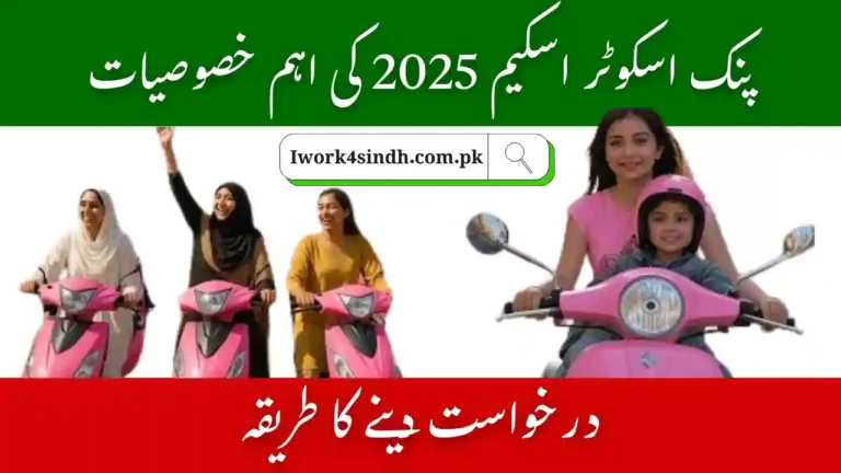 Pink Scooter Distribution Sindh