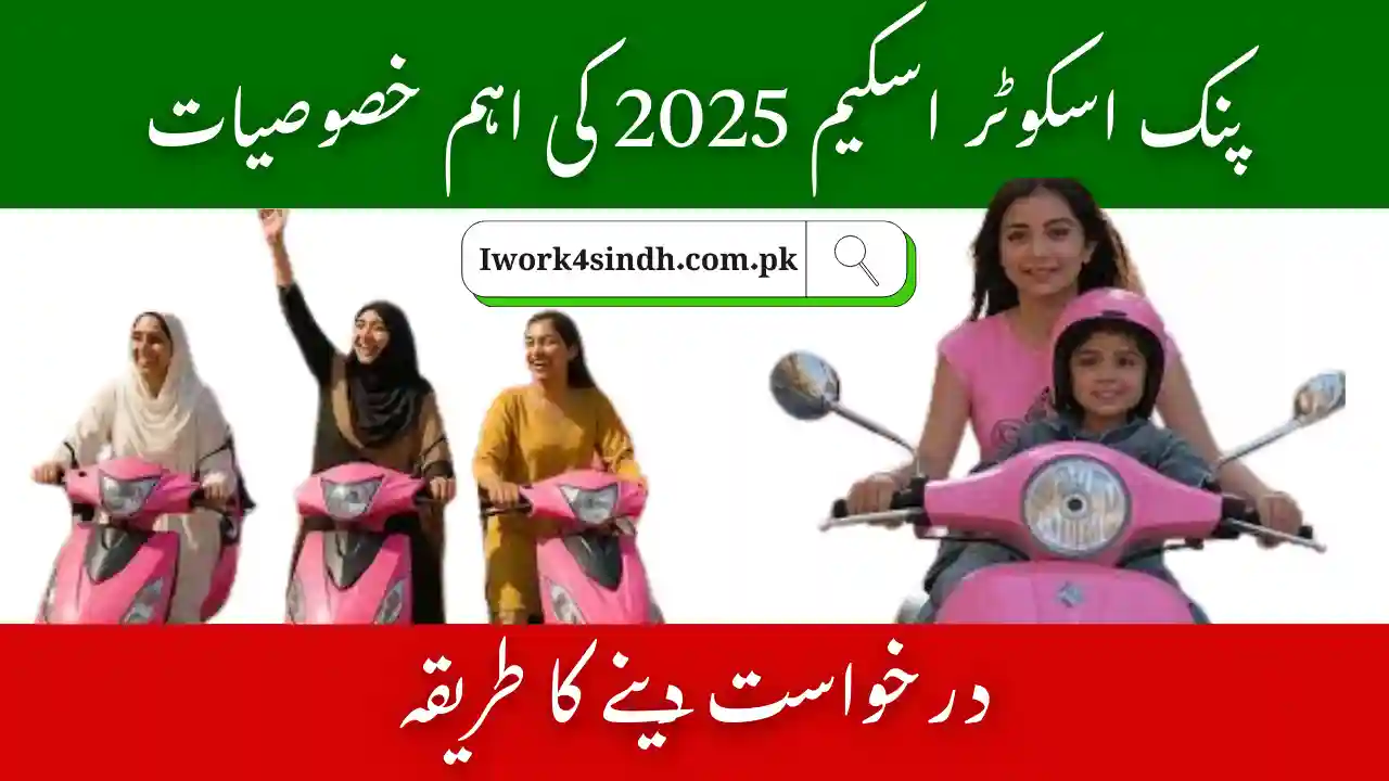 Pink Scooter Distribution Sindh