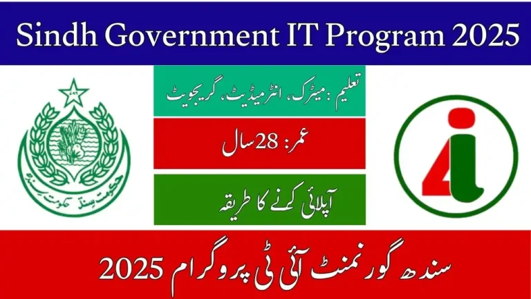 Sindh Government IT Program 2025