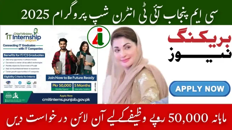 CM Punjab IT Internship Program 2025