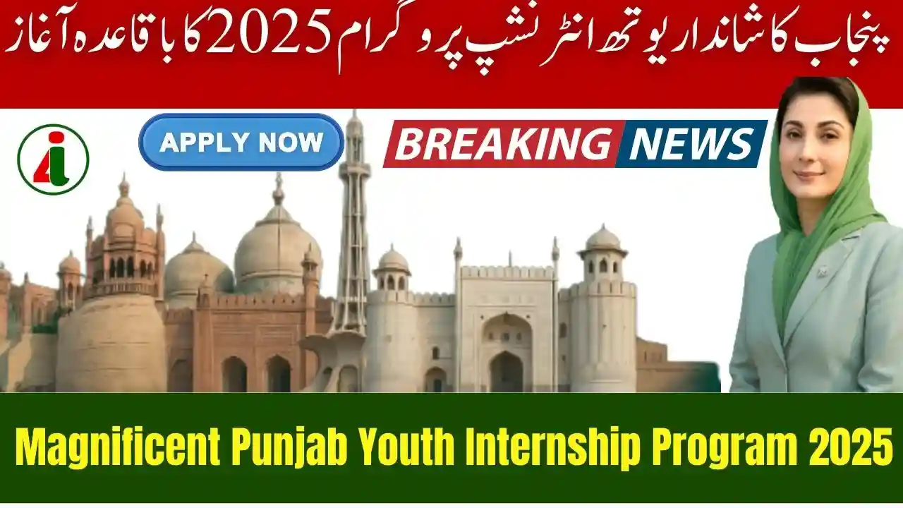 Magnificent Punjab Youth Internship Program 2025