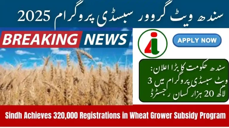 Sindh Achieves 320000 Registrations in Wheat Grower Subsidy Program