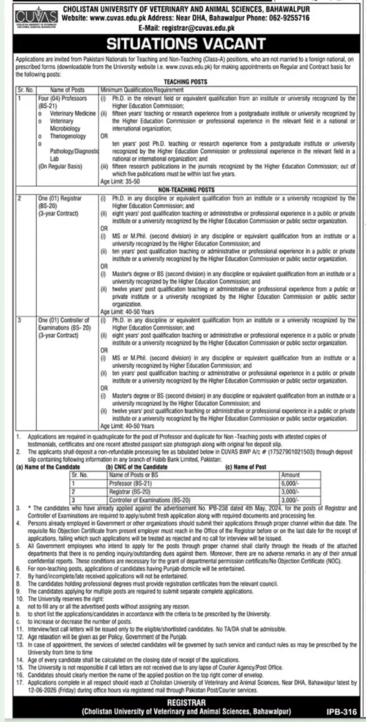CUVAS Bahawalpur Jobs 2026
