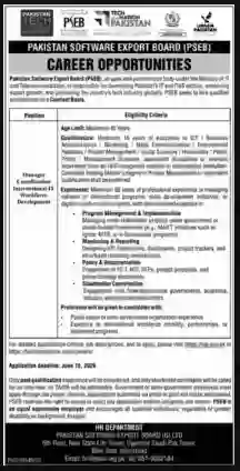 Pakistan Software Export Board