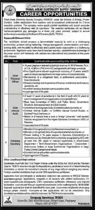 Tribal Areas Electricity Supply Company