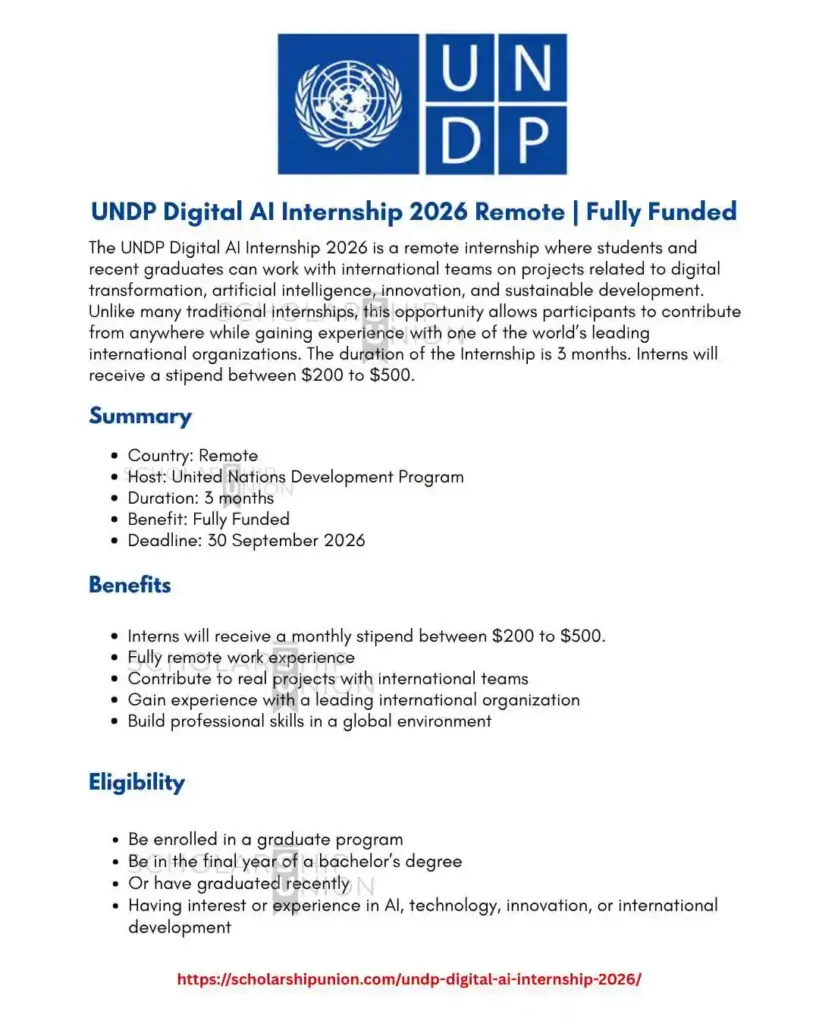 UNDP Digital AI Internship 2026