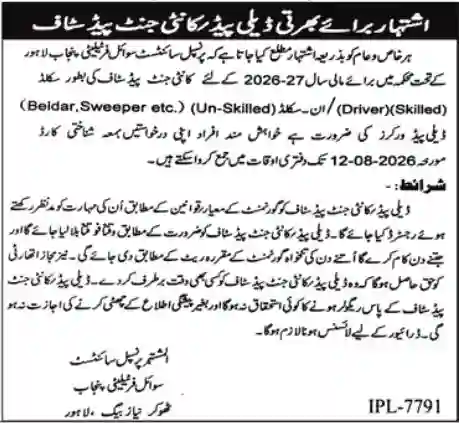 Mayo Hospital Lahore Daily Wages Jobs 2026 Applications Process