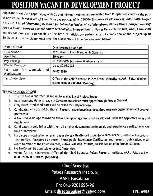 PARB Research Associate Jobs 2026 Pulses Research Institute AARI Faisalabad Jobs