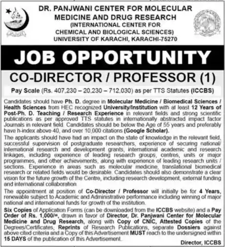ICCBS University of Karachi Jobs 2026